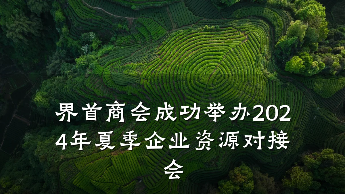 界首商会成功举办2024年夏季企业资源对接会