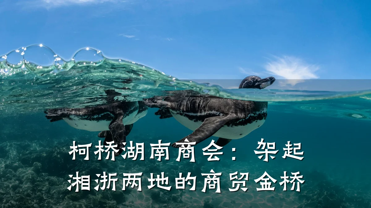 柯桥湖南商会:架起湘浙两地的商贸金桥