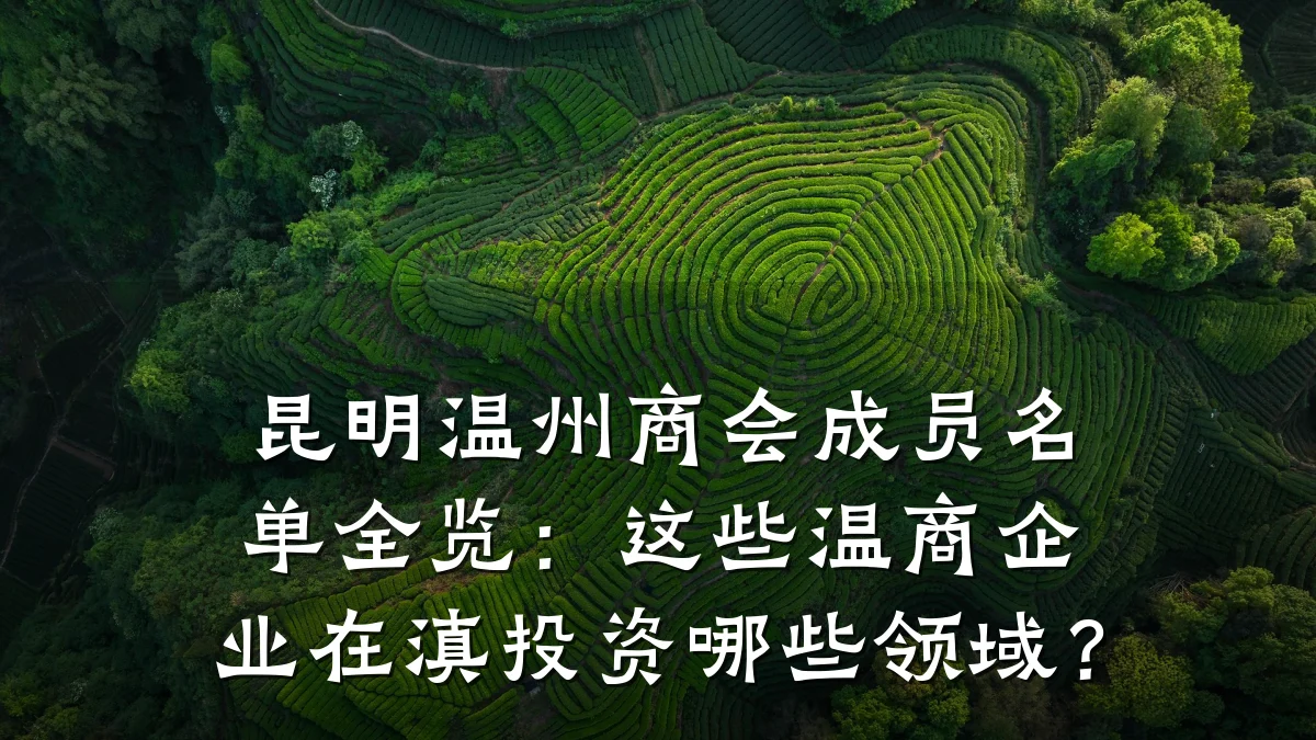昆明温州商会成员名单全览:这些温商企业在滇投资哪些领域?