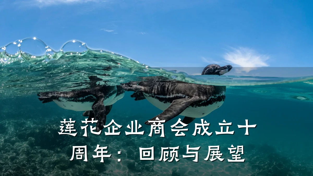 莲花企业商会成立十周年：回顾与展望