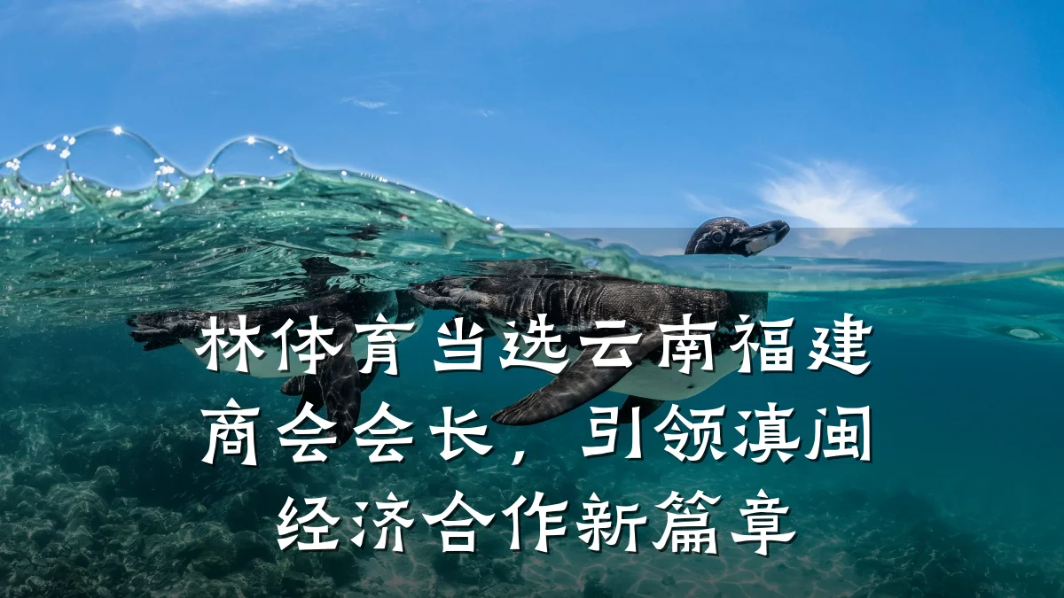 林体育当选云南福建商会会长,引领滇闽经济合作新篇章