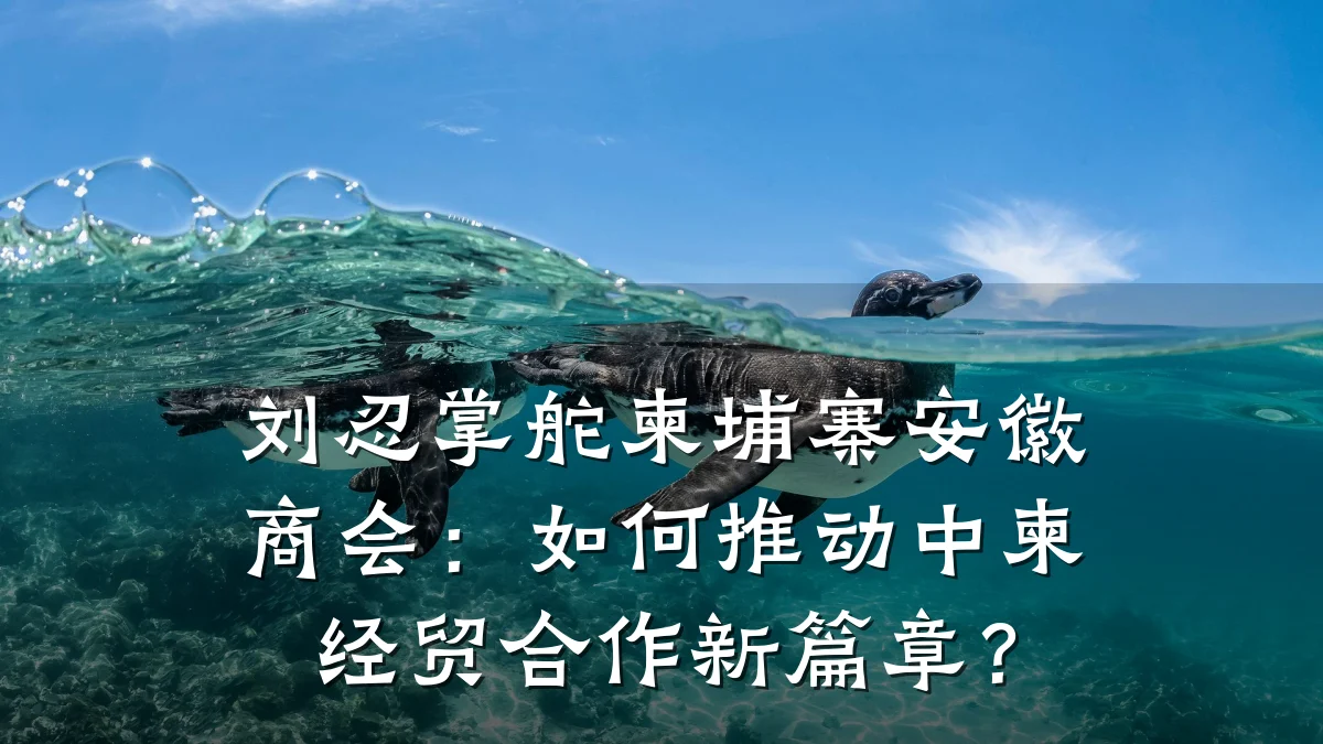 刘忍掌舵柬埔寨安徽商会:如何推动中柬经贸合作新篇章?