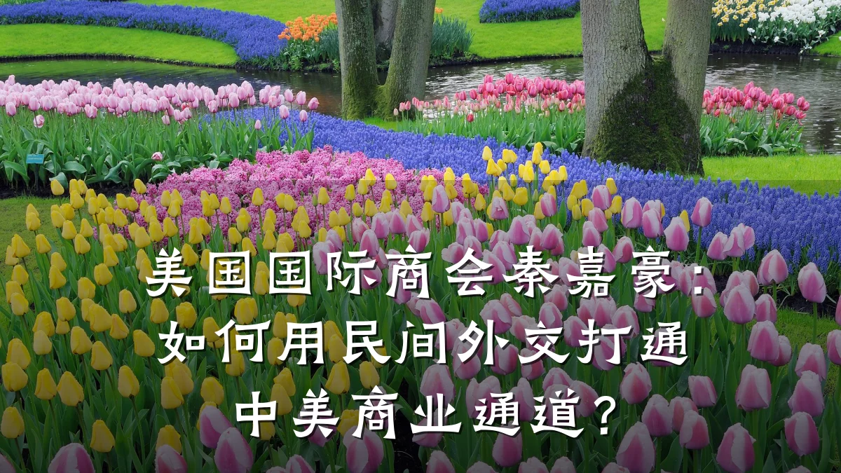 美国国际商会秦嘉豪:如何用民间外交打通中美商业通道?