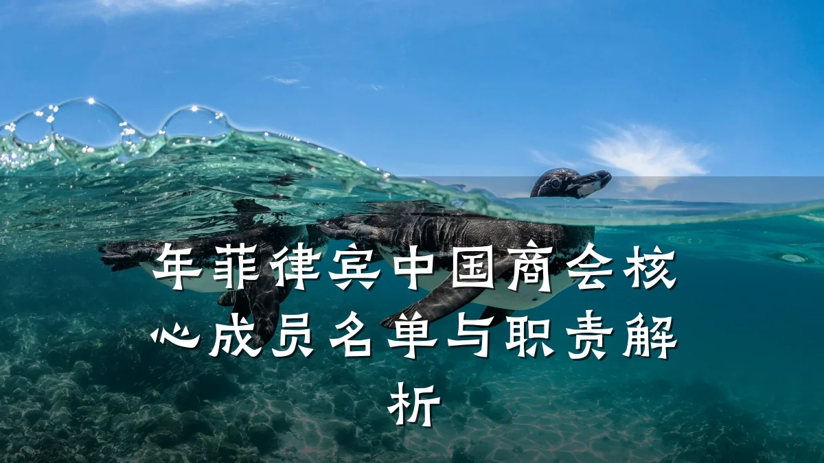 年菲律宾中国商会核心成员名单与职责解析