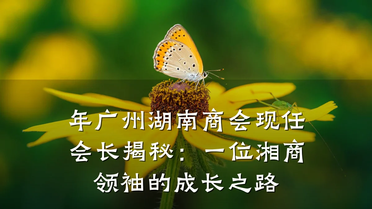 年广州湖南商会现任会长揭秘：一位湘商领袖的成长之路