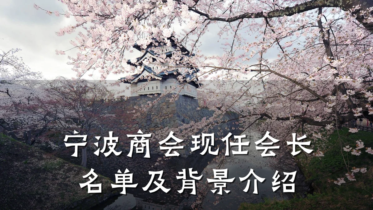 宁波商会现任会长名单及背景介绍