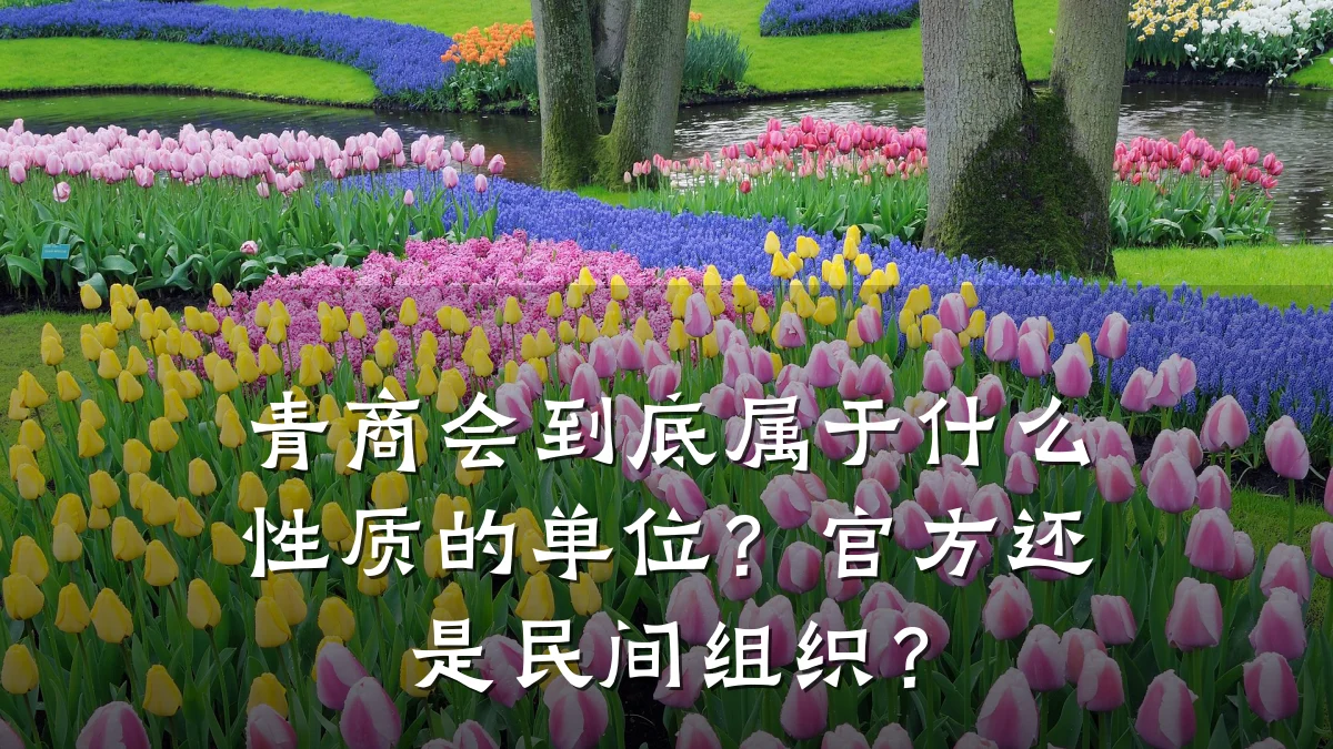 青商会到底属于什么性质的单位?官方还是民间组织?