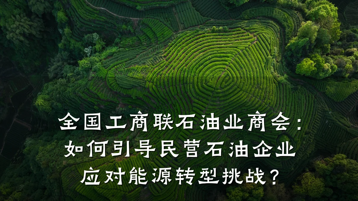 全国工商联石油业商会:如何引导民营石油企业应对能源转型挑战?