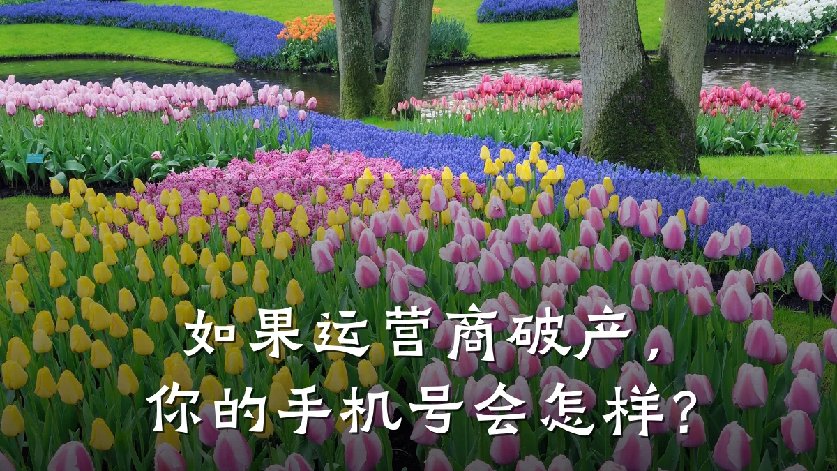 如果运营商破产，你的手机号会怎样？