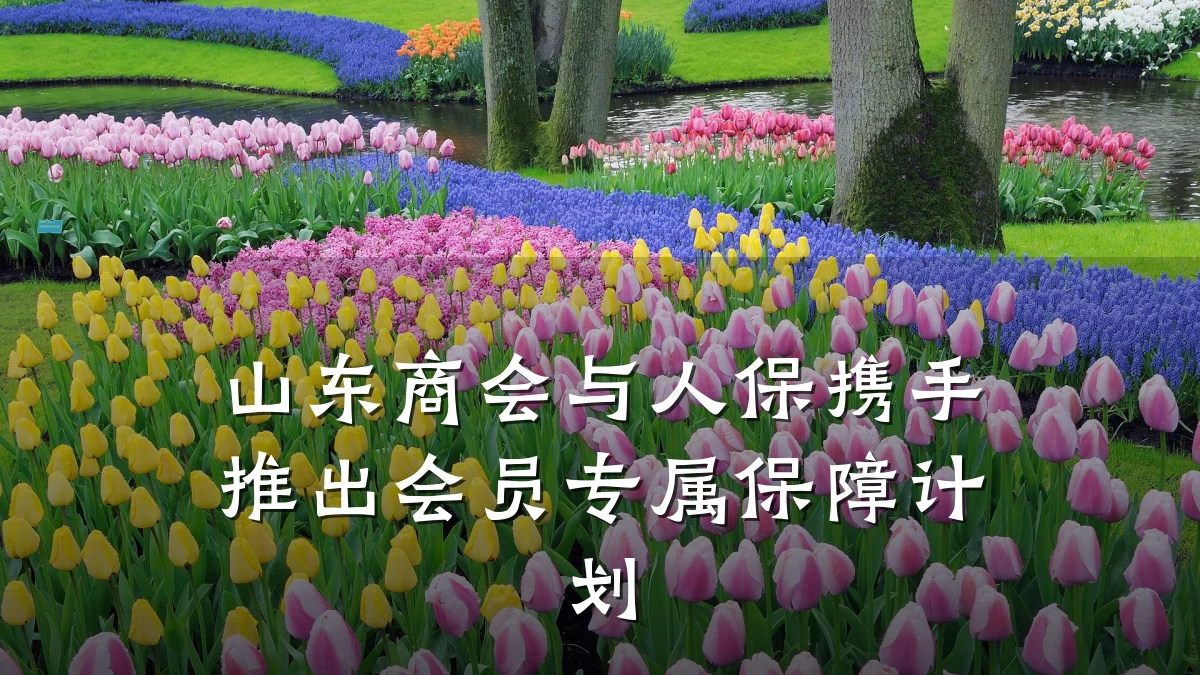 山东商会与人保携手推出会员专属保障计划
