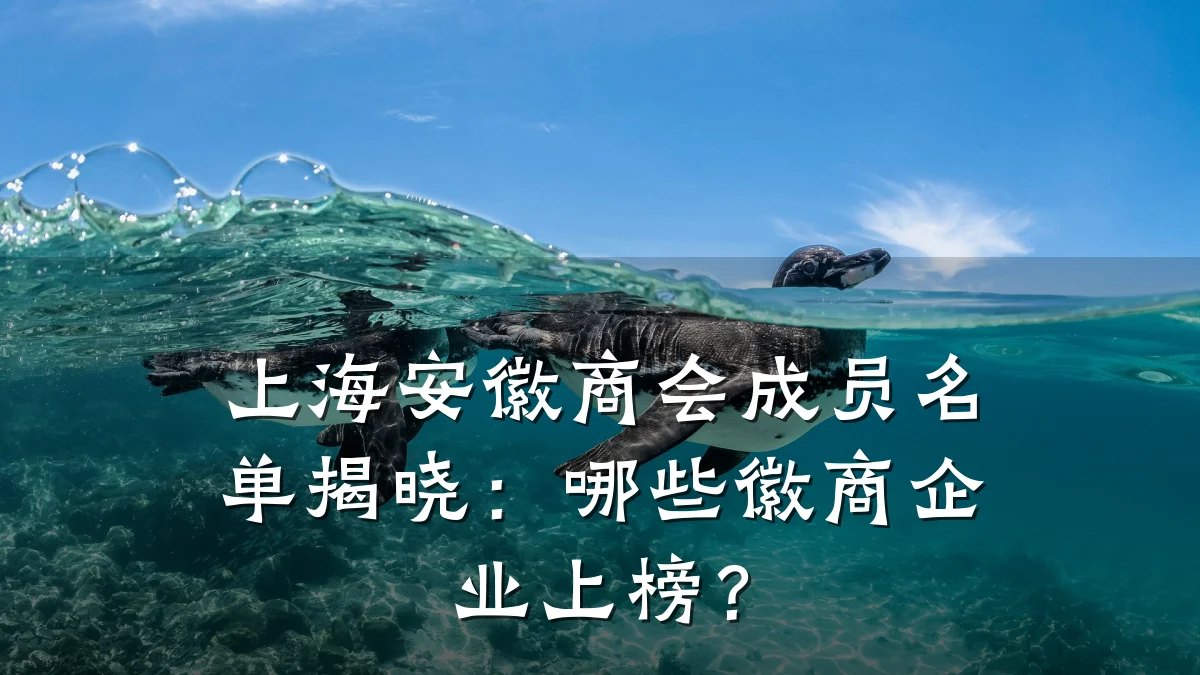 上海安徽商会成员名单揭晓：哪些徽商企业上榜？