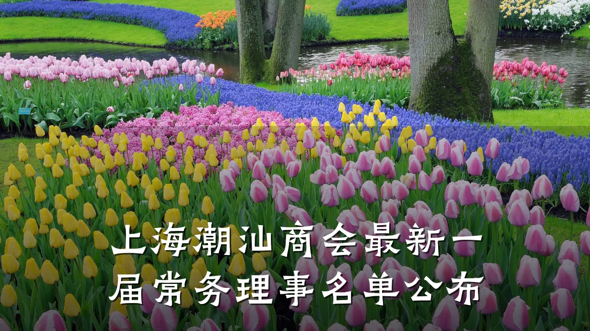 上海潮汕商会最新一届常务理事名单公布