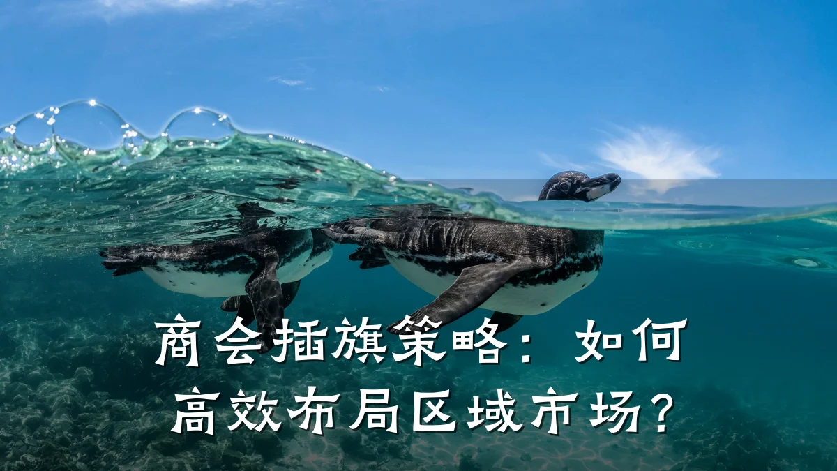 商会插旗策略：如何高效布局区域市场？