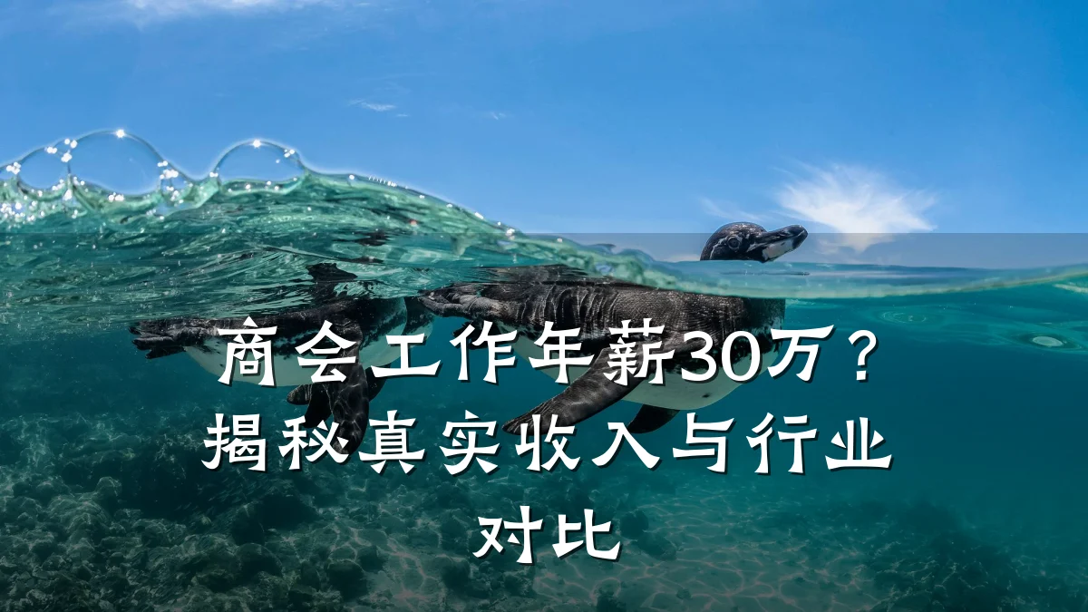商会工作年薪30万?揭秘真实收入与行业对比