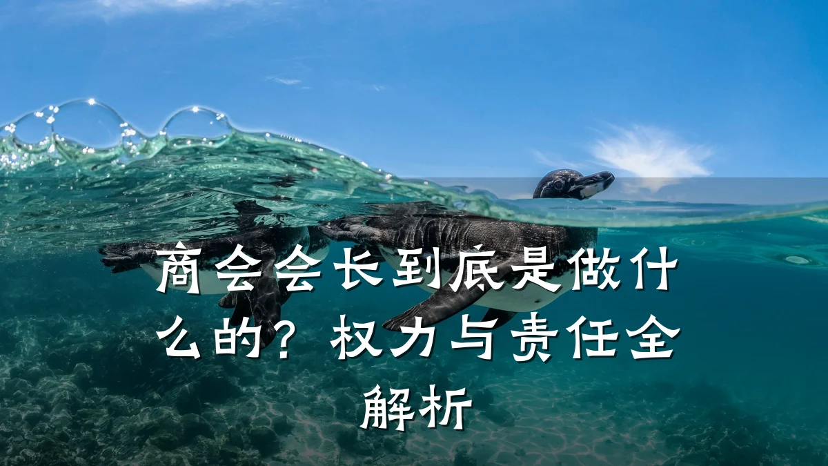 商会会长到底是做什么的？权力与责任全解析