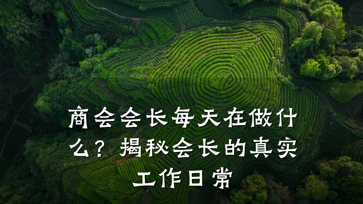 商会会长每天在做什么?揭秘会长的真实工作日常