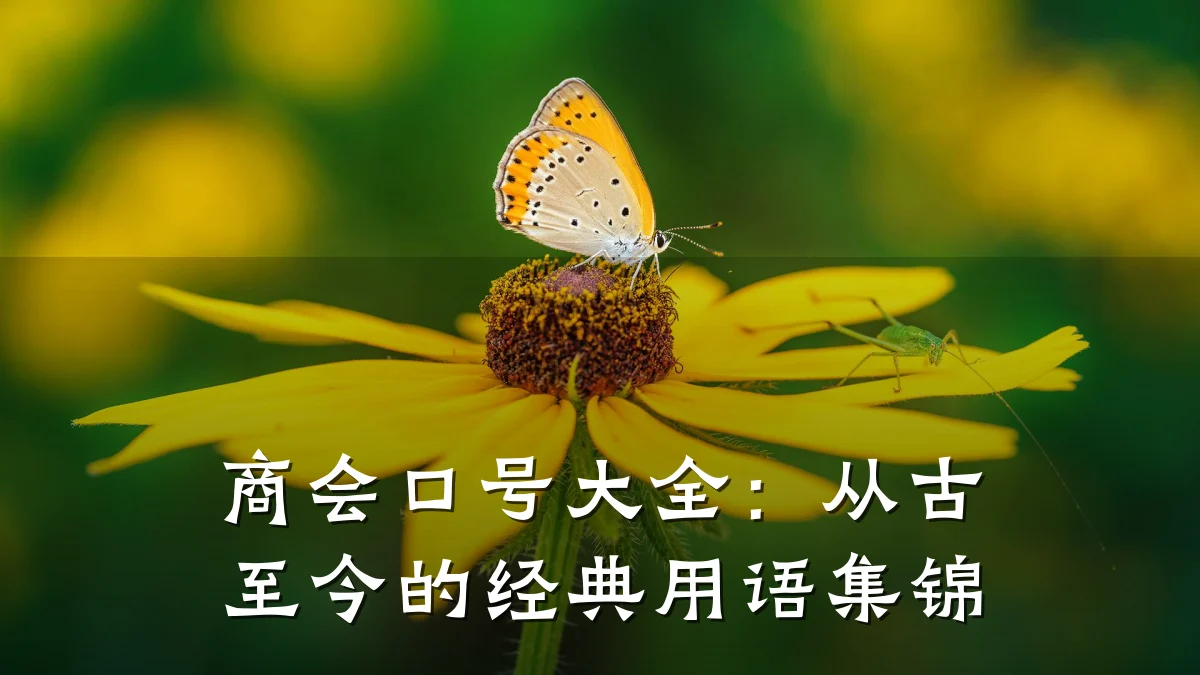 商会口号大全：从古至今的经典用语集锦