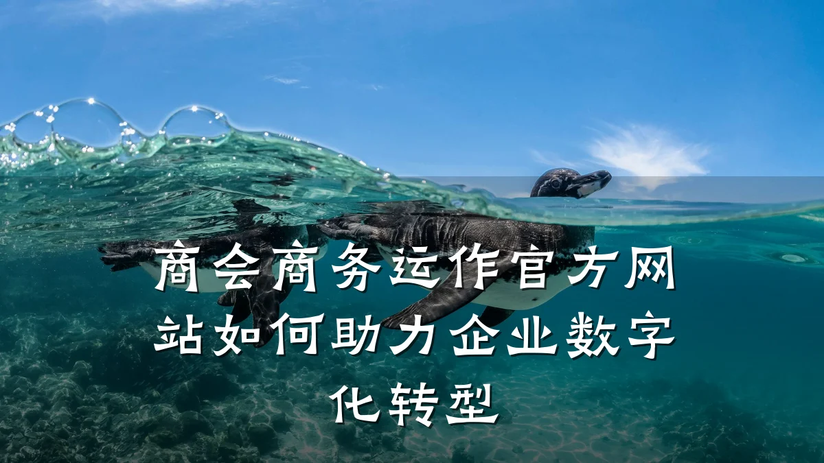 商会商务运作官方网站如何助力企业数字化转型