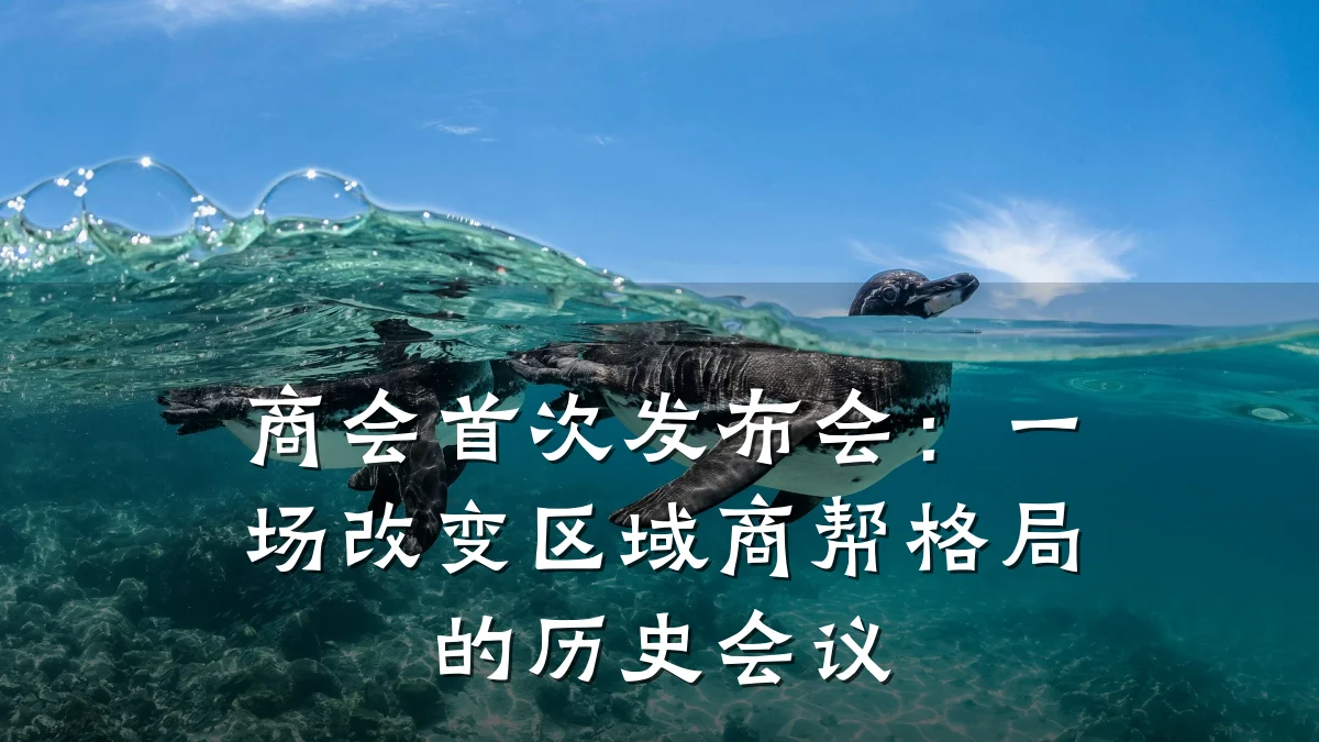 商会首次发布会：一场改变区域商帮格局的历史会议
