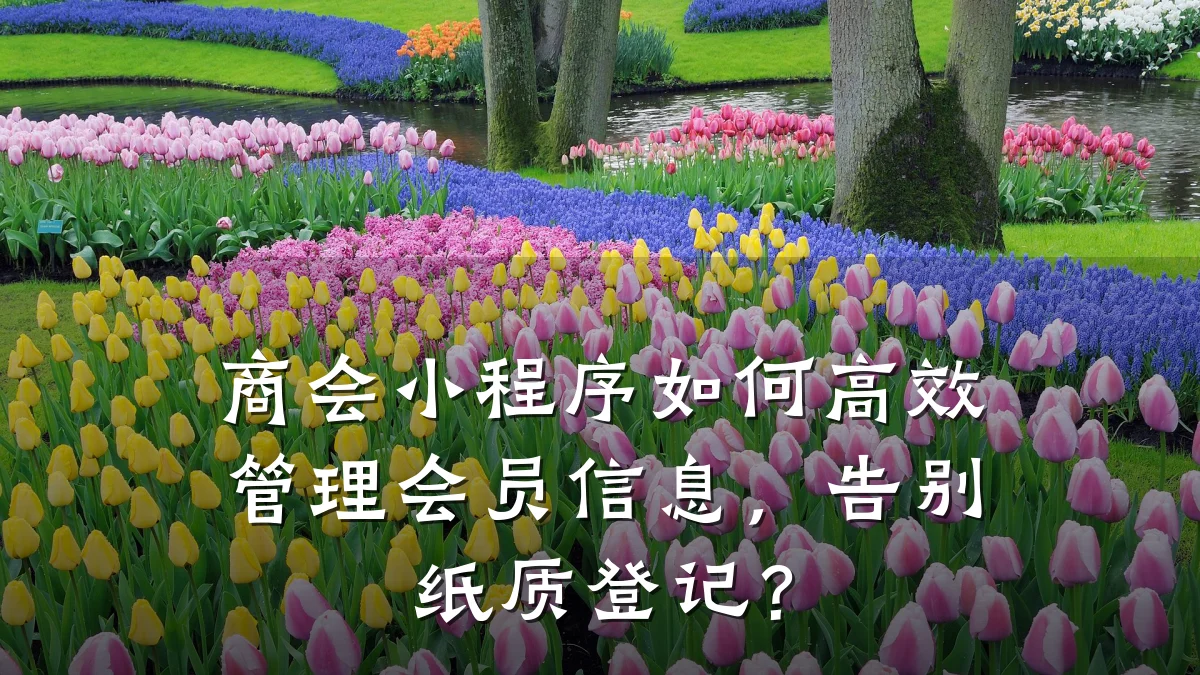 商会小程序如何高效管理会员信息,告别纸质登记?