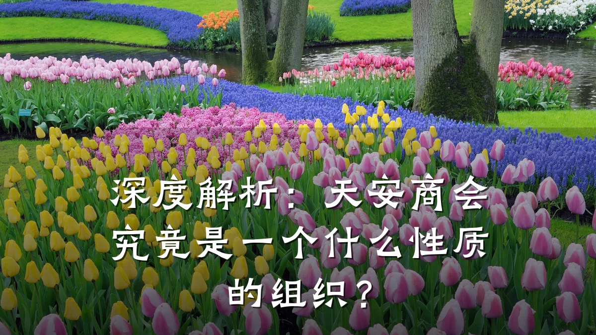 深度解析:天安商会究竟是一个什么性质的组织?