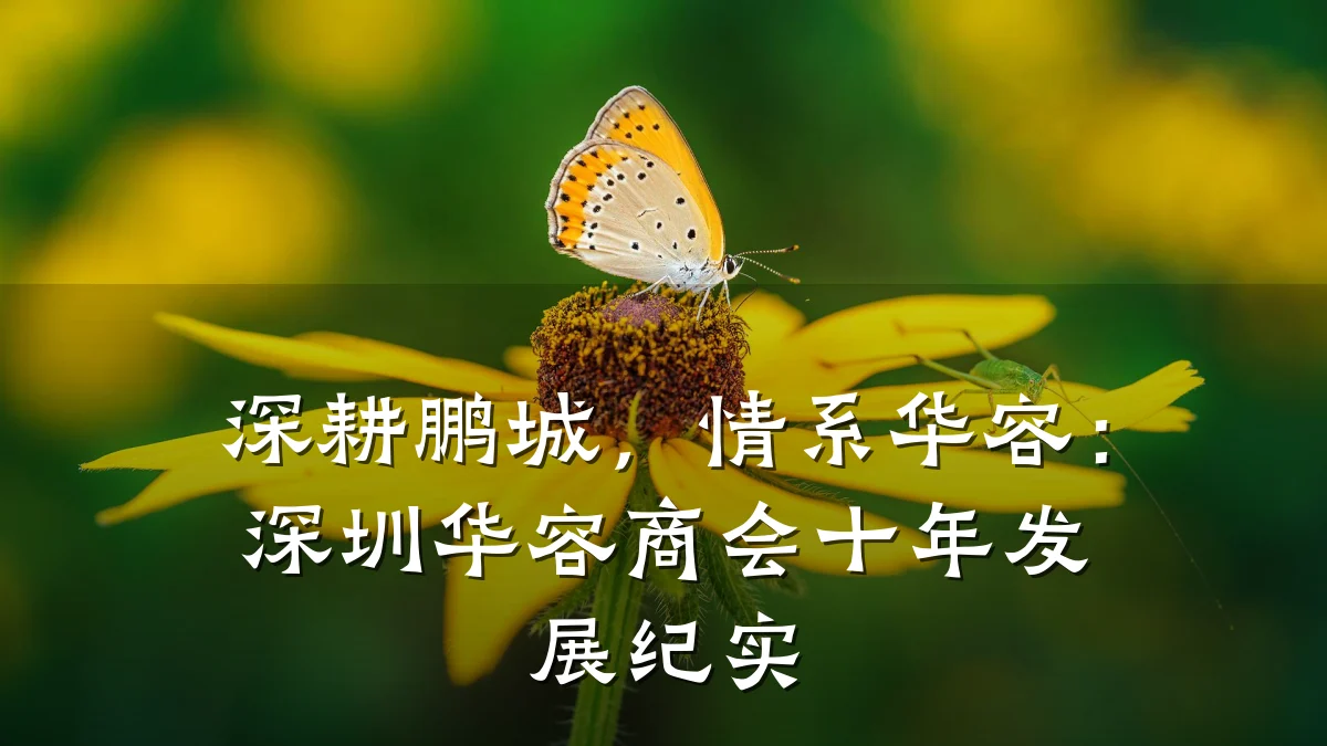 深耕鹏城,情系华容:深圳华容商会十年发展纪实