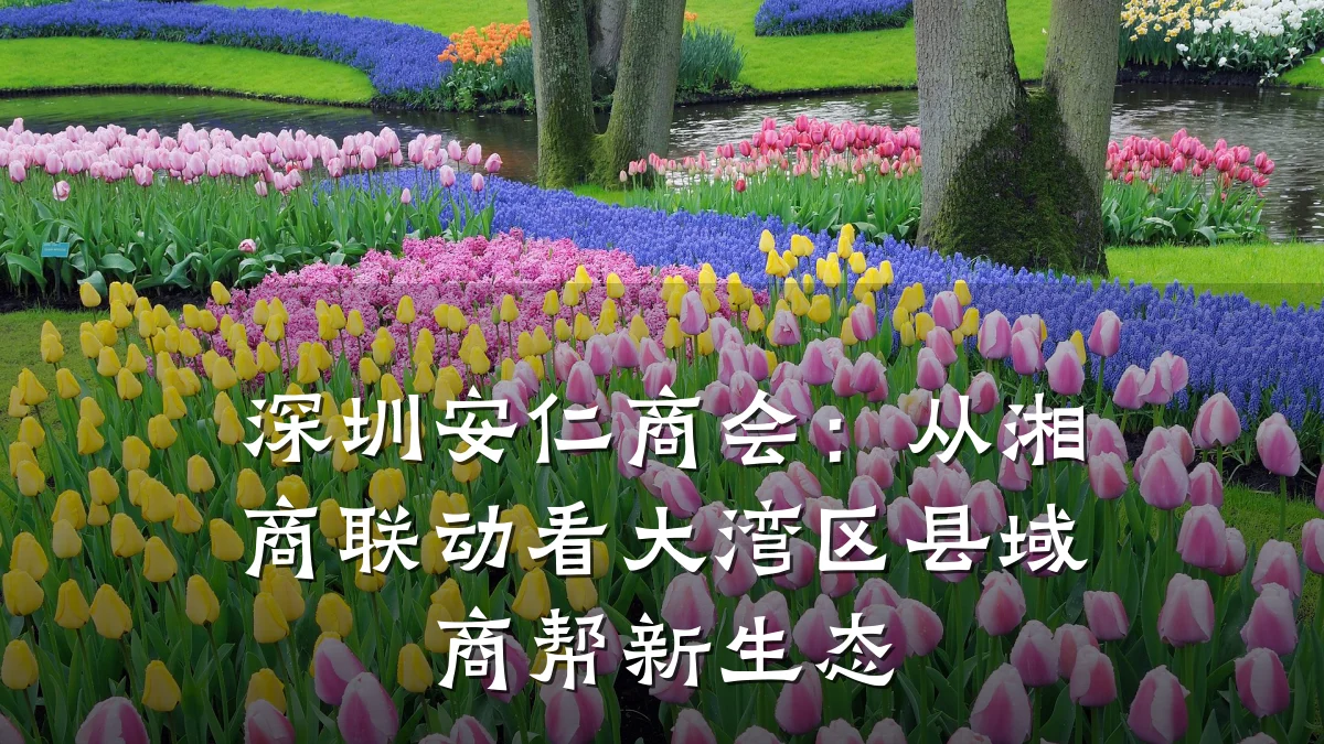 深圳安仁商会:从湘商联动看大湾区县域商帮新生态