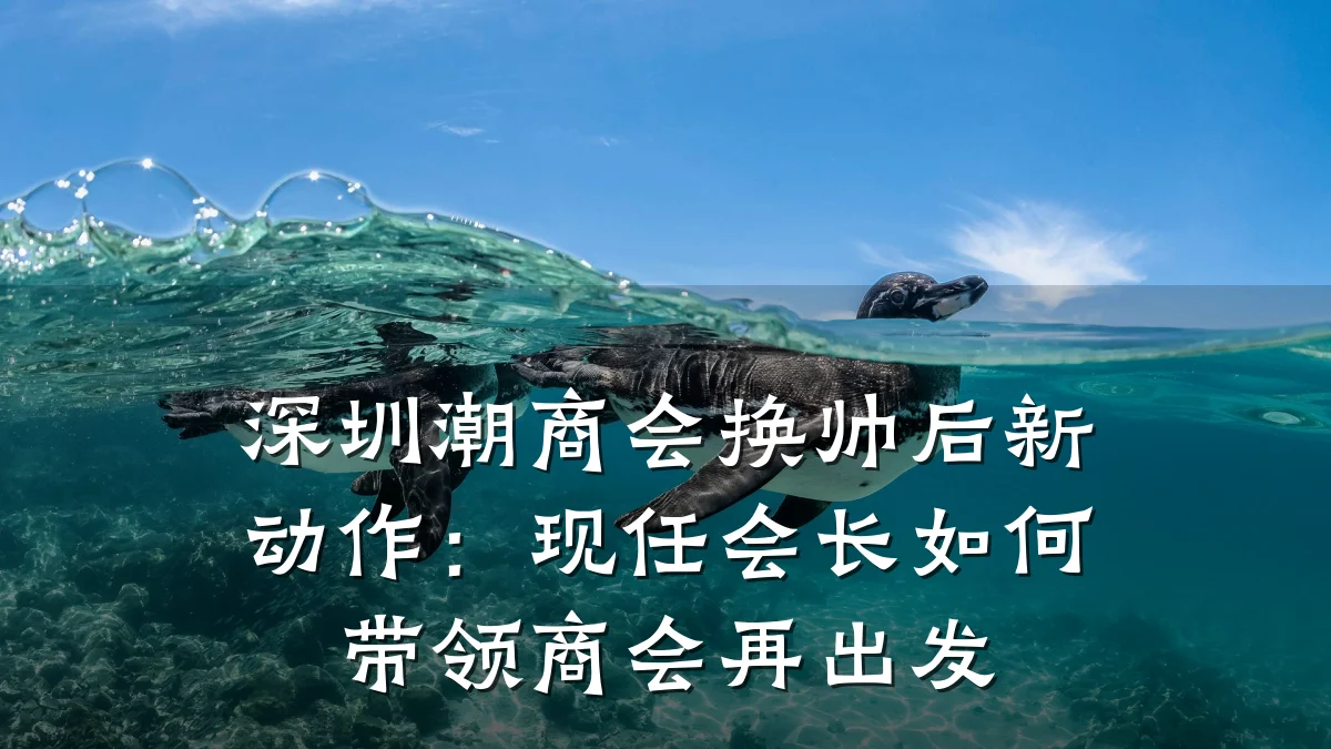 深圳潮商会换帅后新动作：现任会长如何带领商会再出发