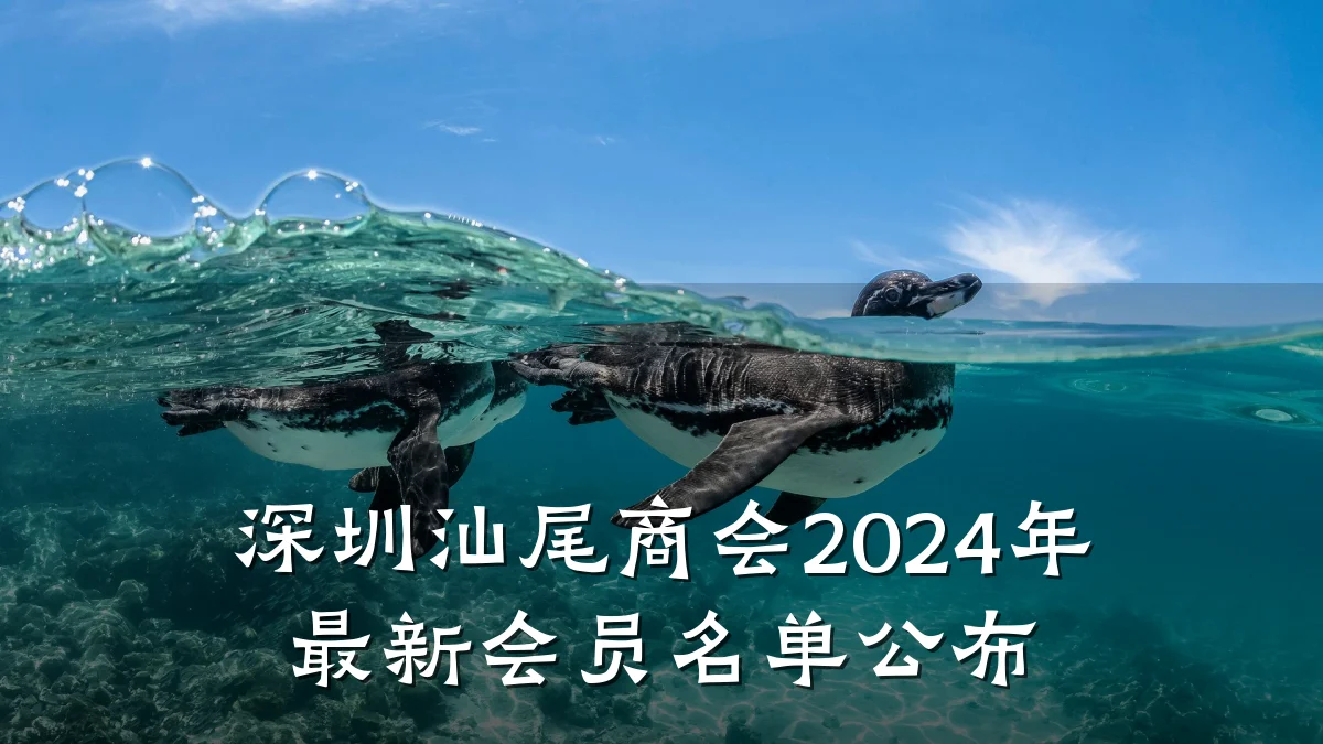 深圳汕尾商会2024年最新会员名单公布
