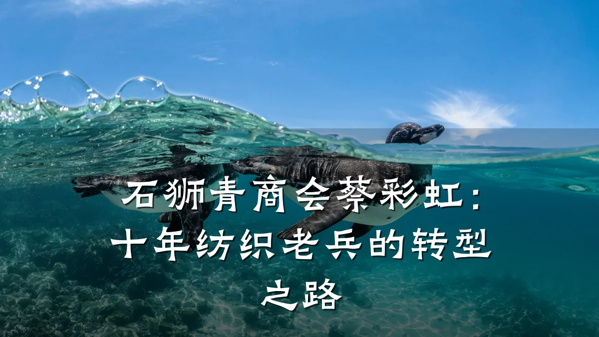 石狮青商会蔡彩虹：十年纺织老兵的转型之路