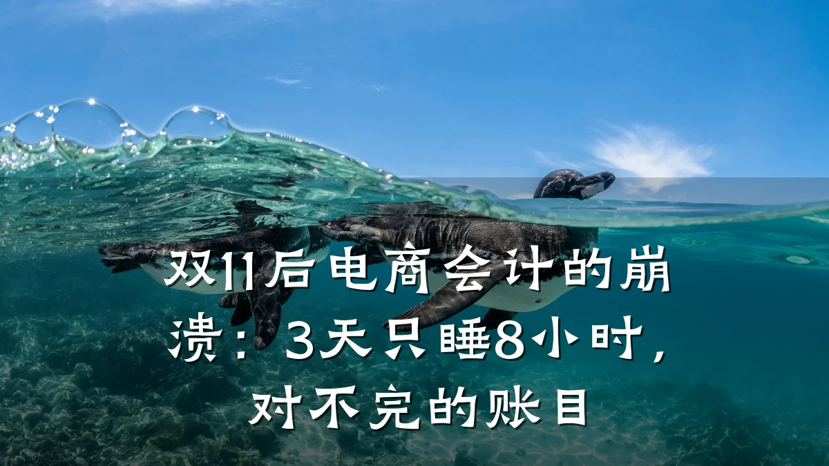 双11后电商会计的崩溃：3天只睡8小时，对不完的账目