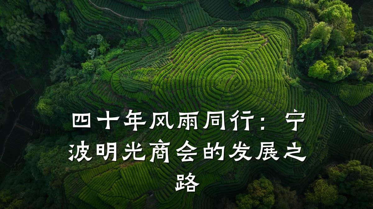 四十年风雨同行：宁波明光商会的发展之路