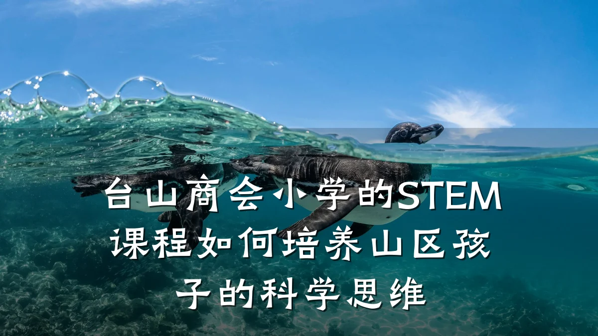 台山商会小学的STEM课程如何培养山区孩子的科学思维