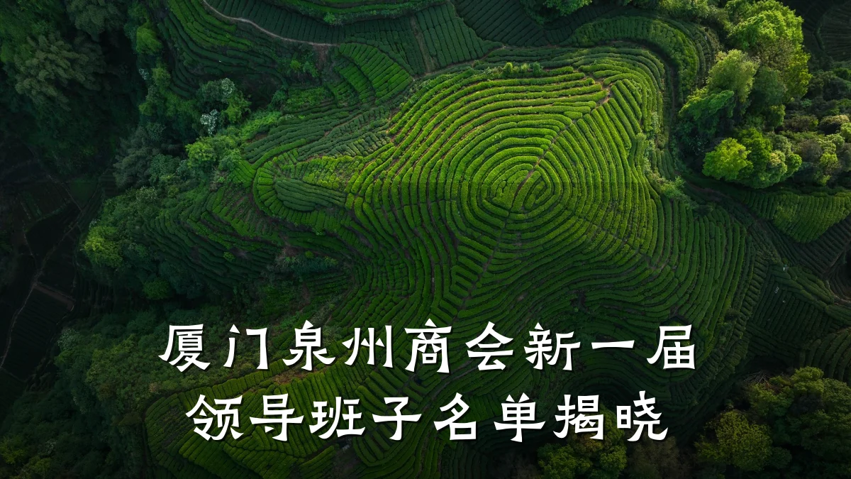 厦门泉州商会新一届领导班子名单揭晓