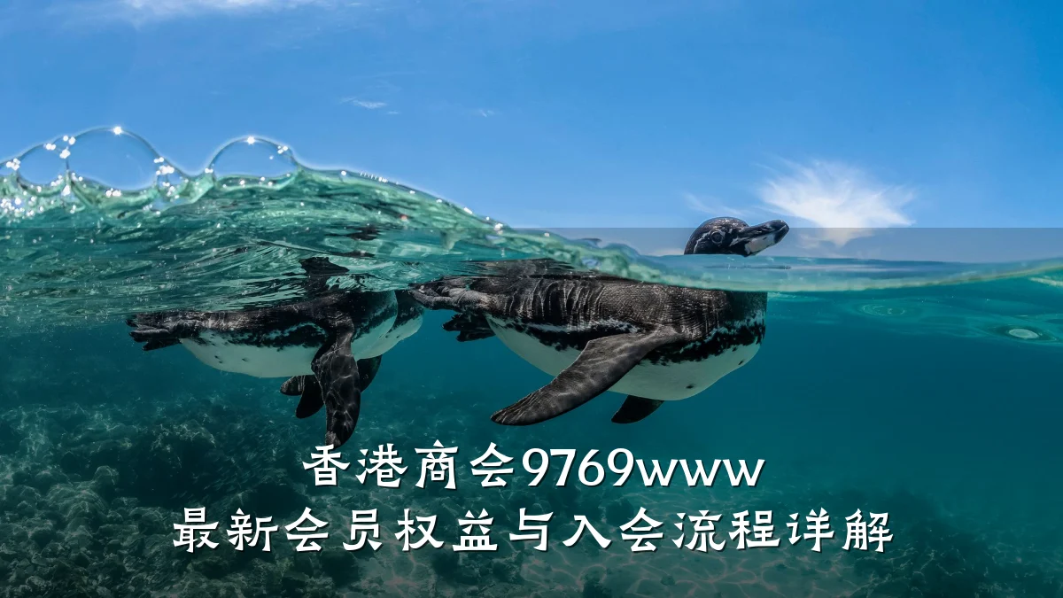 香港商会9769www 最新会员权益与入会流程详解