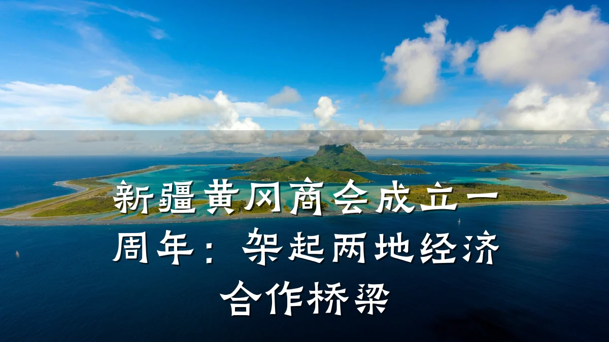 新疆黄冈商会成立一周年:架起两地经济合作桥梁