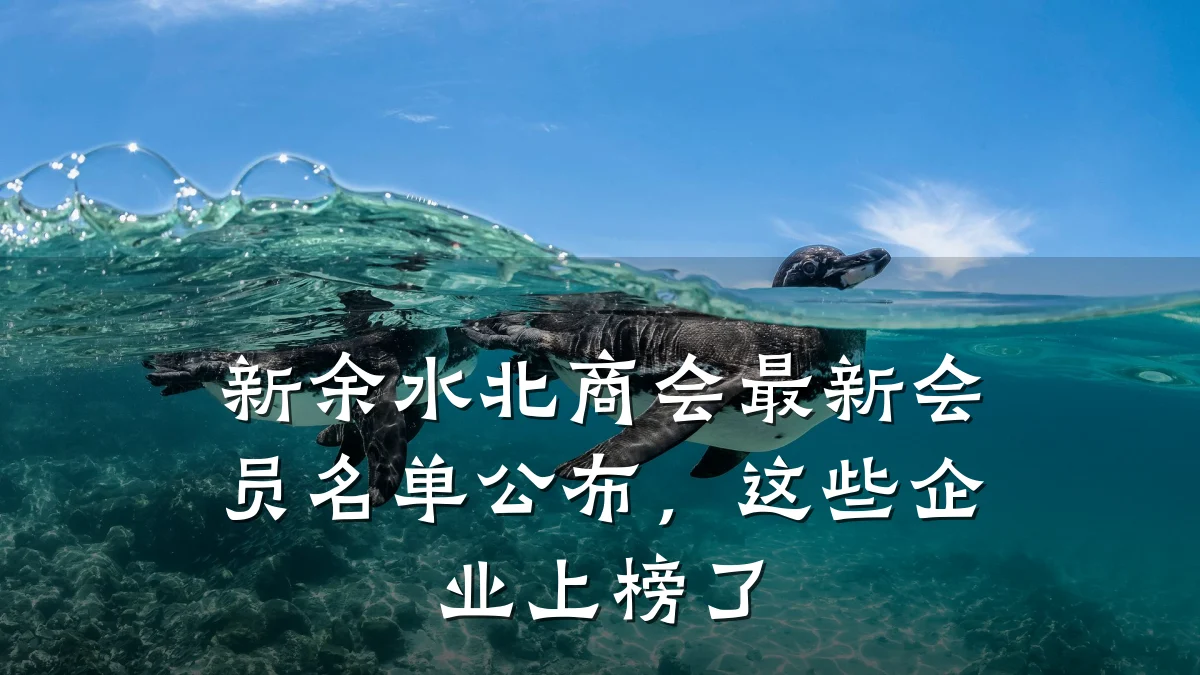 新余水北商会最新会员名单公布,这些企业上榜了