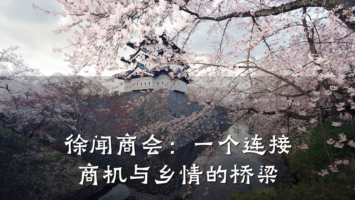 徐闻商会：一个连接商机与乡情的桥梁