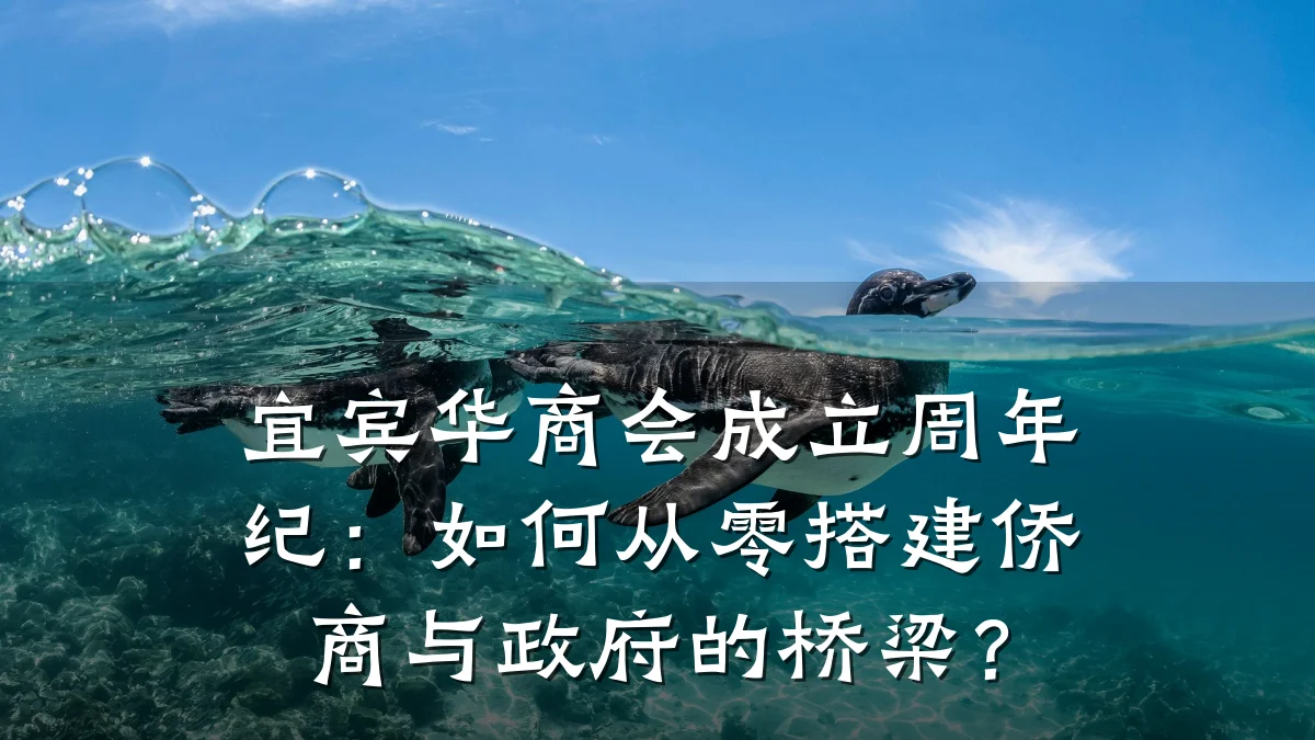 宜宾华商会成立周年纪:如何从零搭建侨商与政府的桥梁?