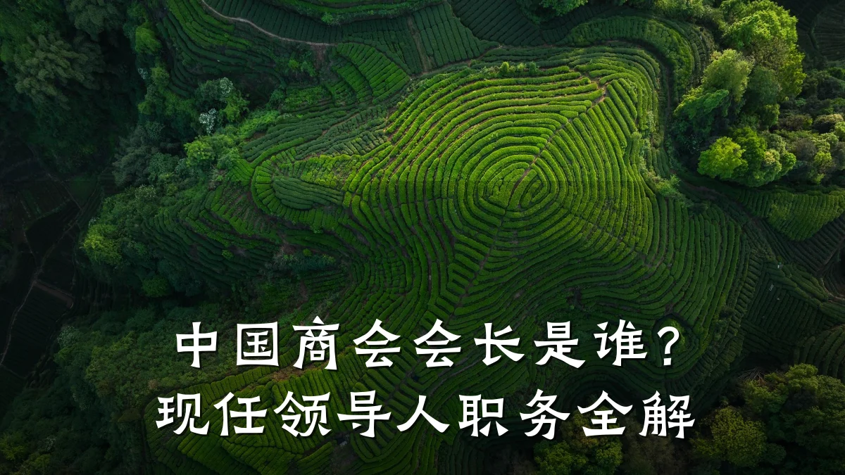 中国商会会长是谁？现任领导人职务全解