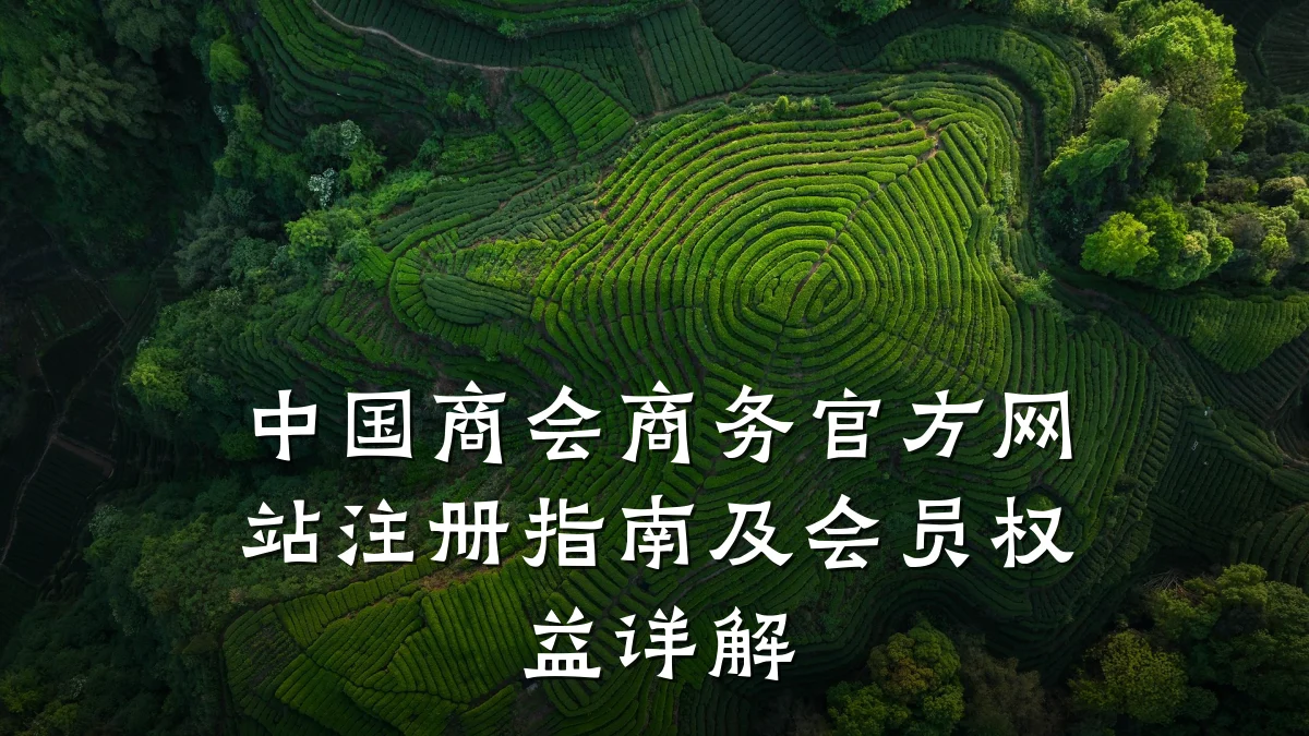 中国商会商务官方网站注册指南及会员权益详解