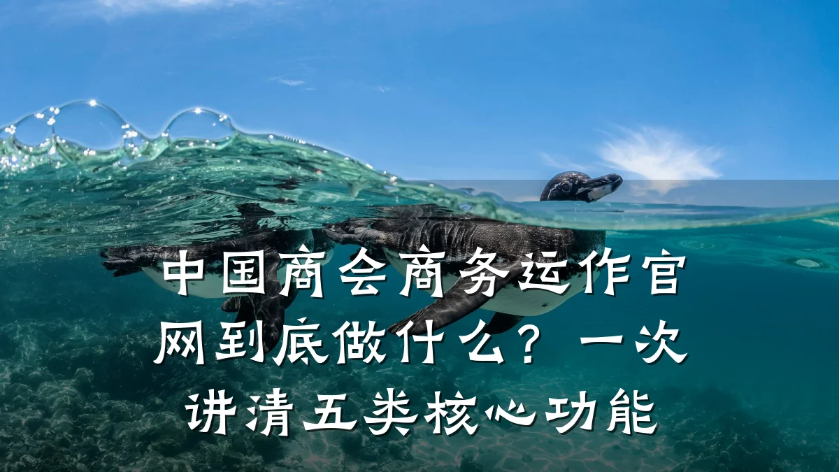 中国商会商务运作官网到底做什么?一次讲清五类核心功能