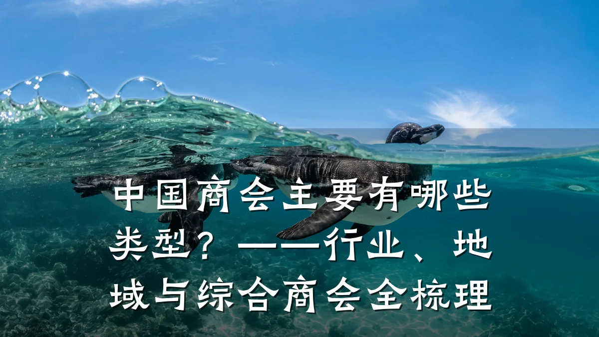 中国商会主要有哪些类型？——行业、地域与综合商会全梳理