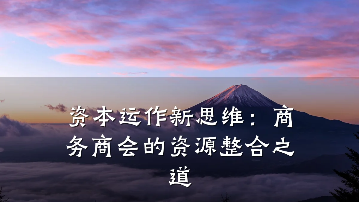 资本运作新思维:商务商会的资源整合之道