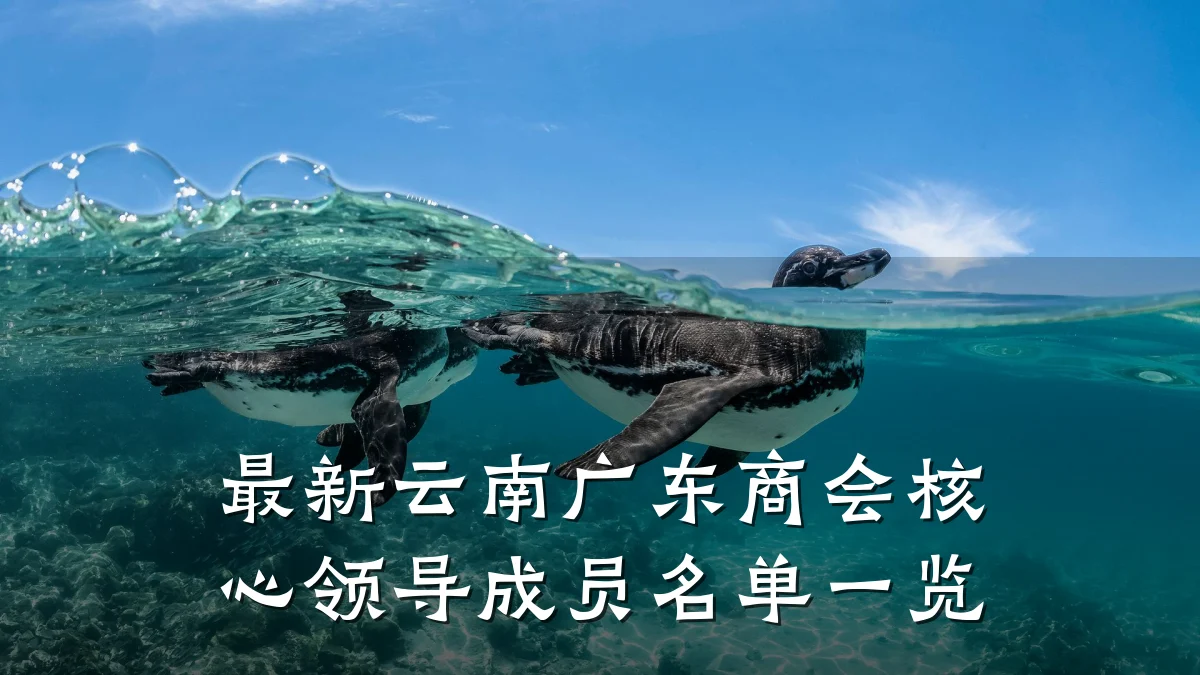 最新云南广东商会核心领导成员名单一览