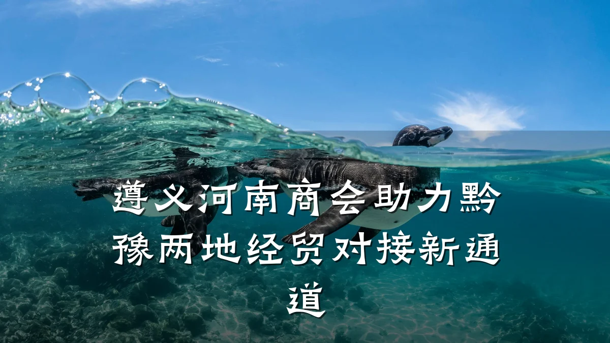 遵义河南商会助力黔豫两地经贸对接新通道