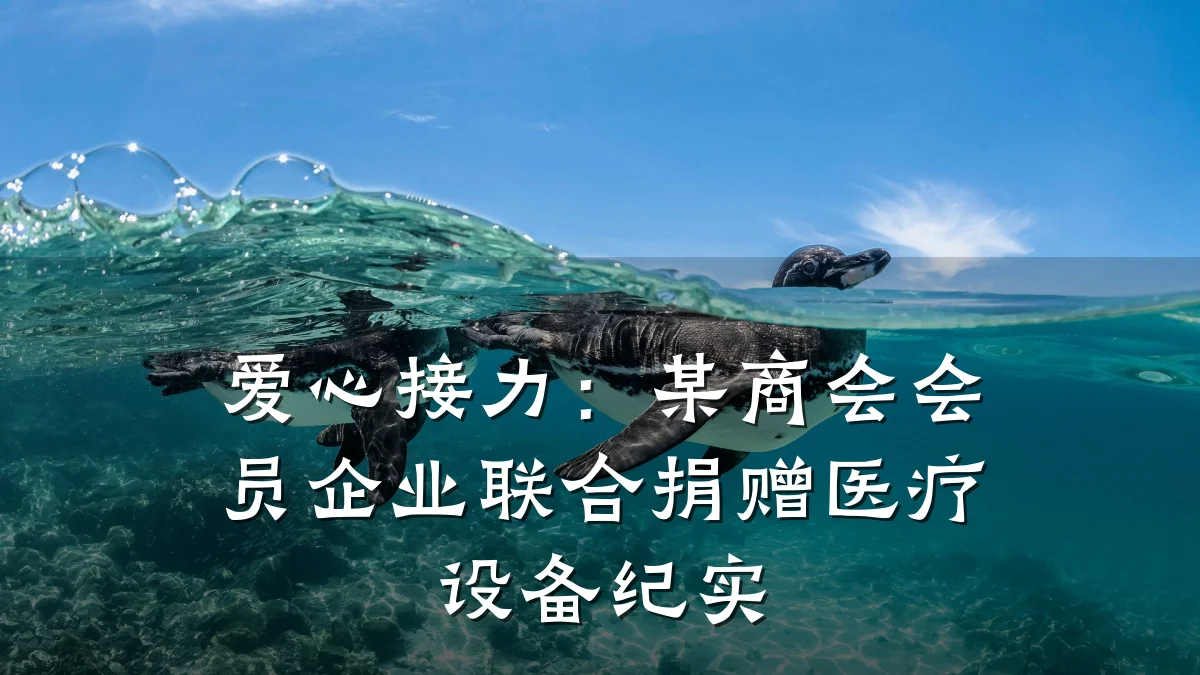 爱心接力：某商会会员企业联合捐赠医疗设备纪实