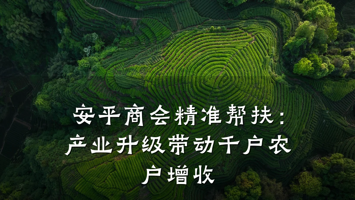 安平商会精准帮扶:产业升级带动千户农户增收