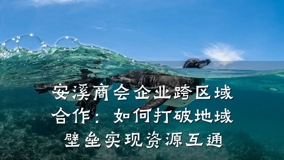 安溪商会企业跨区域合作:如何打破地域壁垒实现资源互通