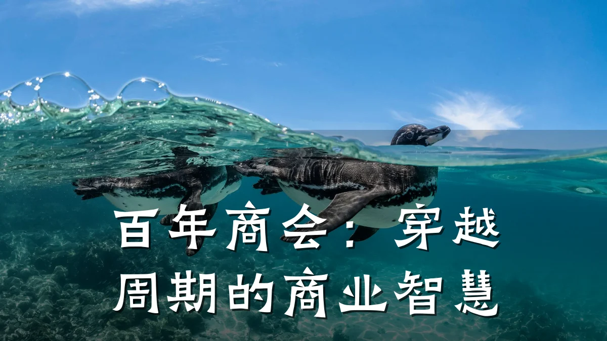百年商会：穿越周期的商业智慧